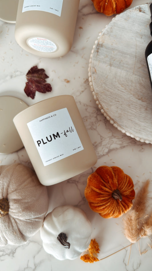 PLUM-fall